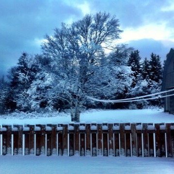 SnowyVacaRPG's profile picture. A getaway for couples, or exes that run into eachother. Dm/@ to join.