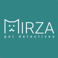 MIRZA (@getmirza) Twitter profile photo