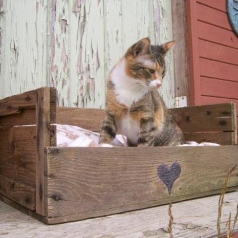 Marzia70Marzia's profile picture. shop