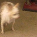 milton carcamo - @miltoncarcamo1 - Twitter