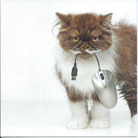Kefter (@kefter_1) 's Twitter Profile