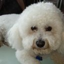 Patty Colosimo - @ColosimoPatty - Twitter