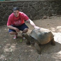 Adam Childs (@adamrchilds) 's Twitter Profile