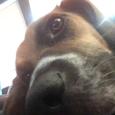 TruFP's profile picture. Twitter Participant.