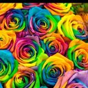 Lasandra Tatum - @TatumLasandra - Twitter