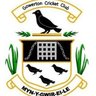 GowertonCricket's profile picture. Official Twitter Feed for Gowerton Cricket Club. Providing Cricket for All In our Comunity. Ages 5-78(at the moment!)  #AllStarsCricket & #Dynamos Cricket