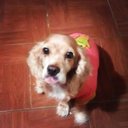 Laura Monares (@0937098ce34e4cb) Twitter
