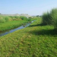 الحنش الاسود (@1fa374ffc5fa46f) 's Twitter Profile