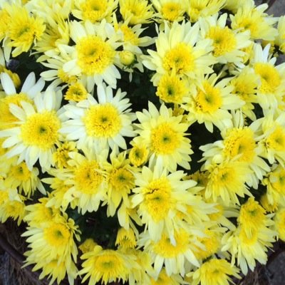 winchrather's profile picture. 