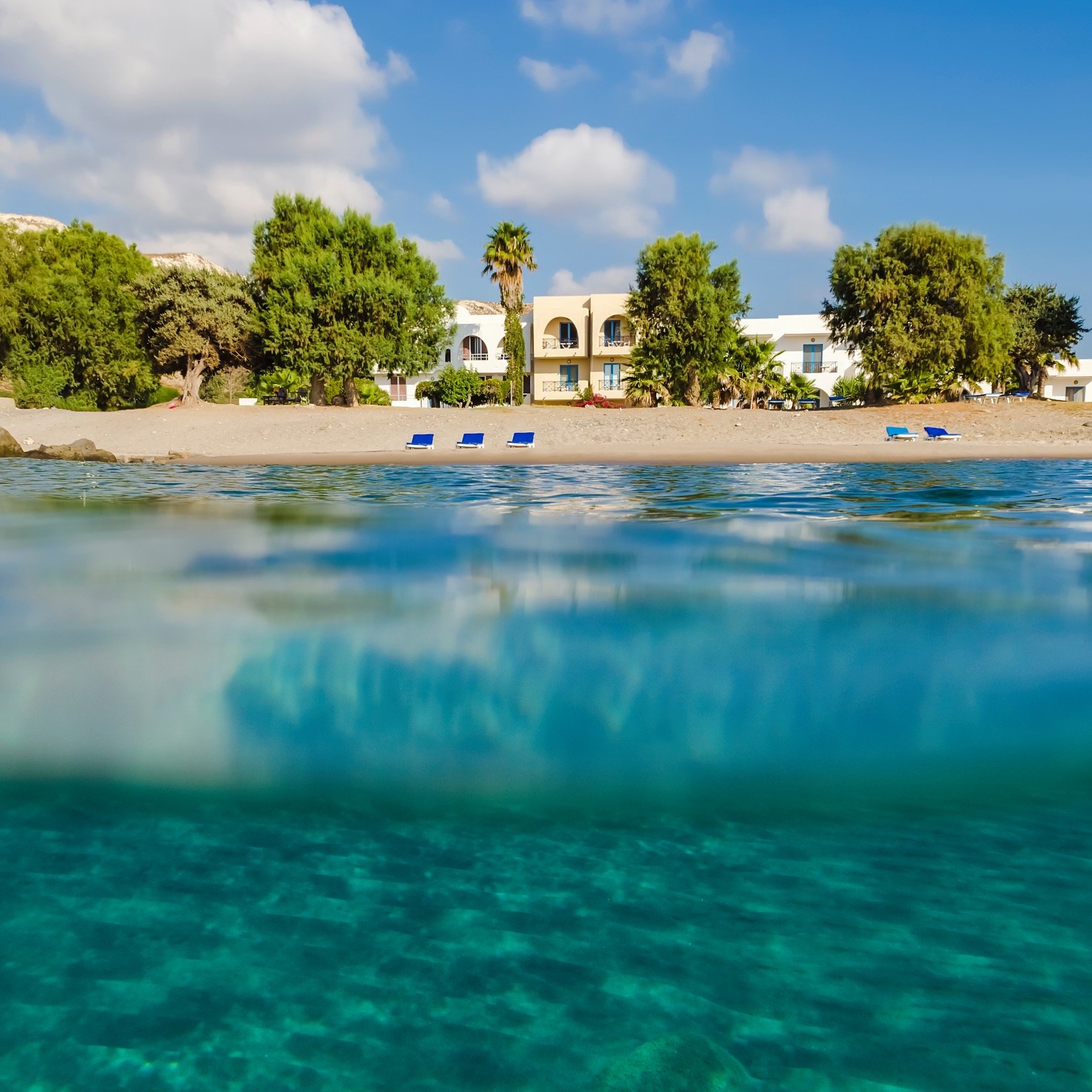 OlympiaMare's profile picture. 