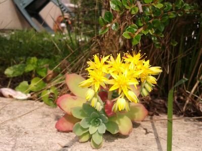 GiannaRatti's profile picture. 