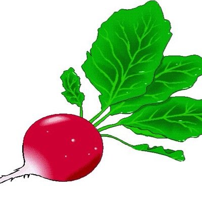 no hablo vegetable