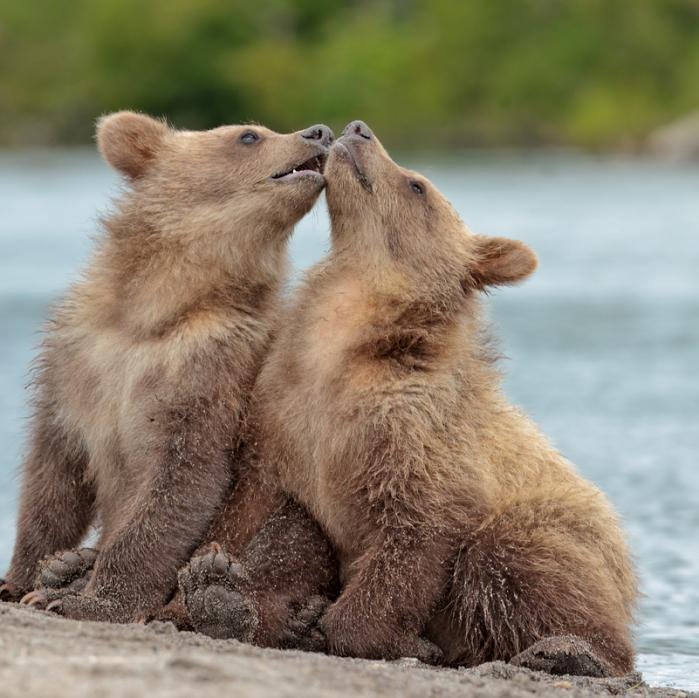 Ilya_Ivanovwv's profile picture. 