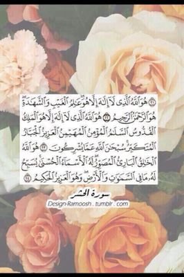 رتويت ما ياخذ منك شي !