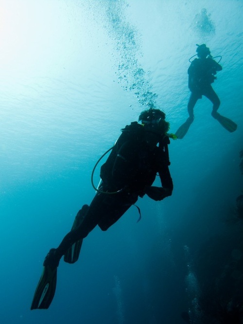 Evntpassionista's profile picture. mompreneur, world traveller, party organizer