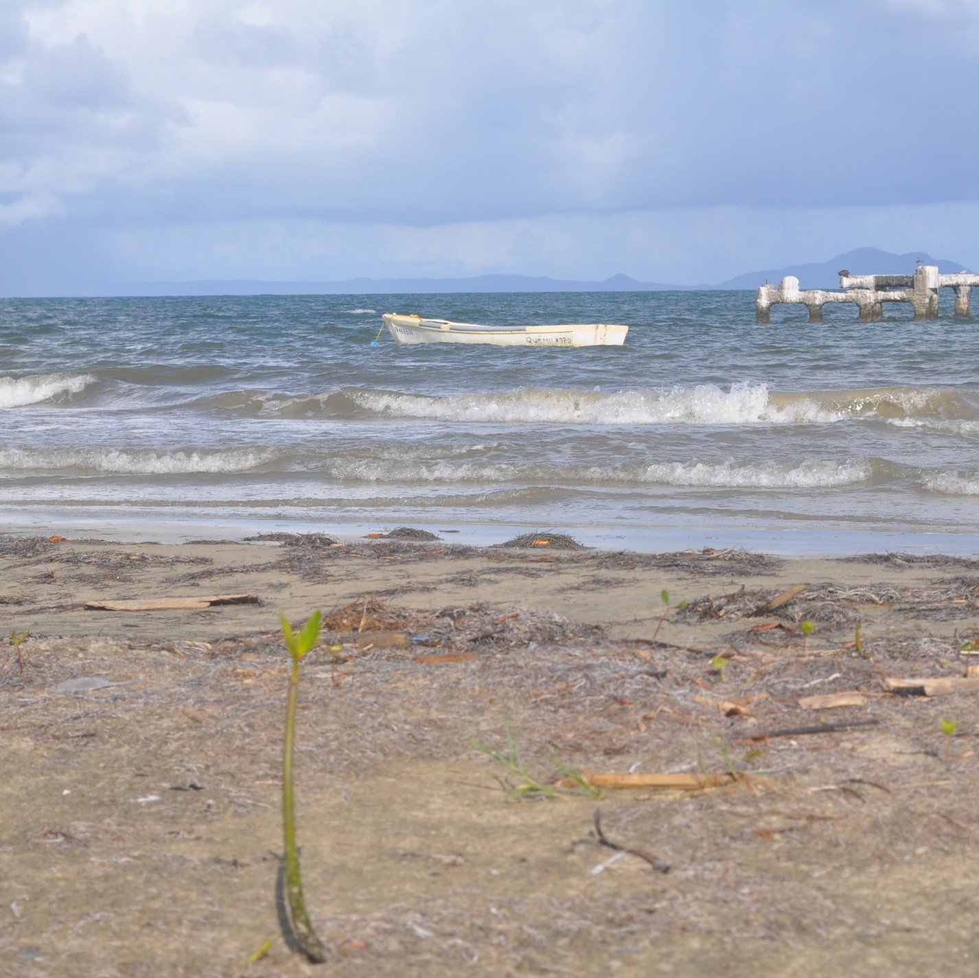 rebecafrati's profile picture. 