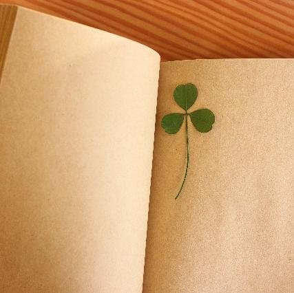 女子力アップ W Hitokurijo Twitter