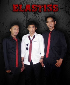 Elasti3s band Profile