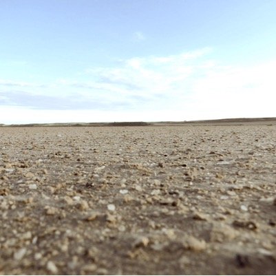 Andando el camino