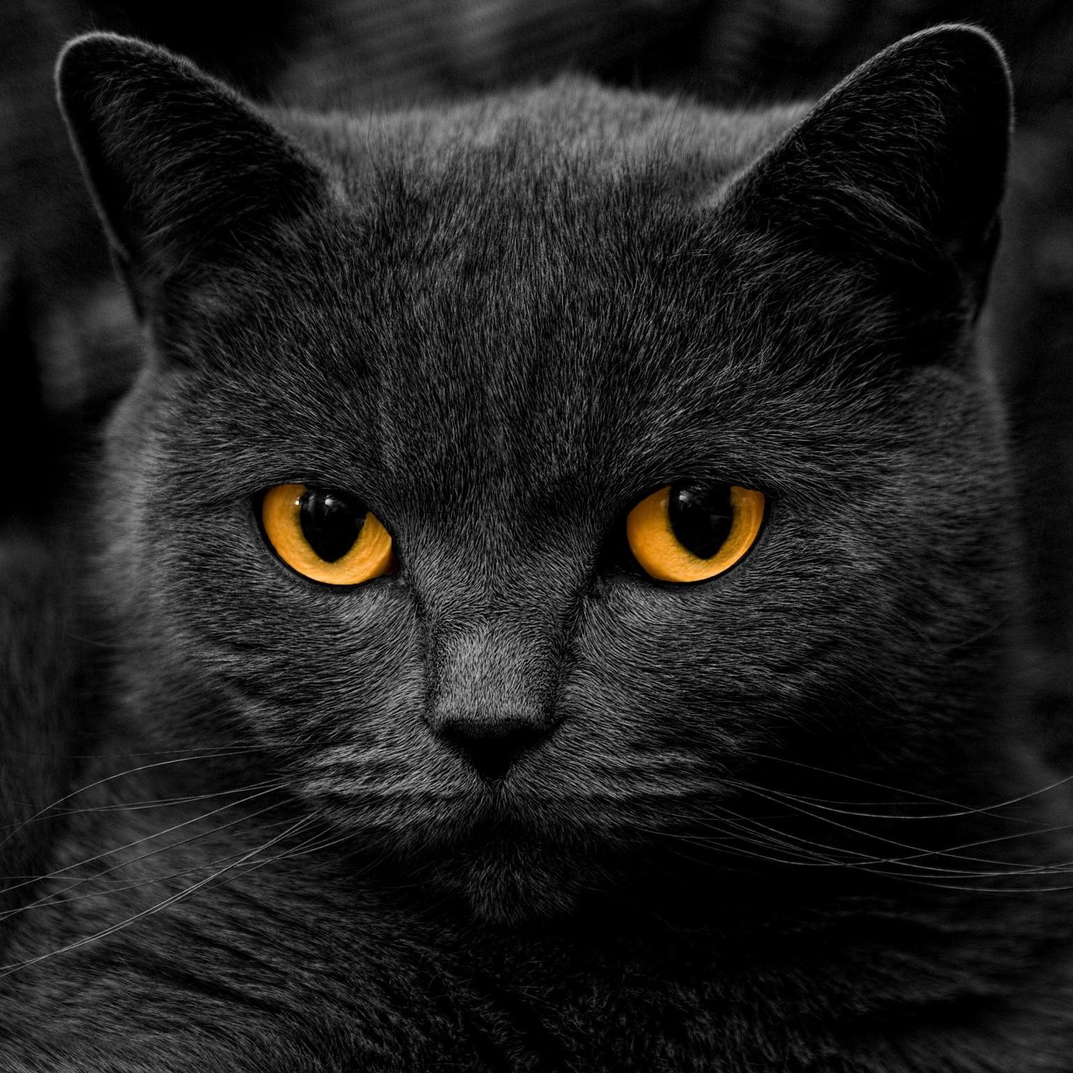 Kieran_DNB's profile picture. DNB