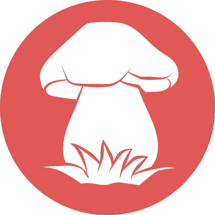 ShumbratCom's profile picture. 