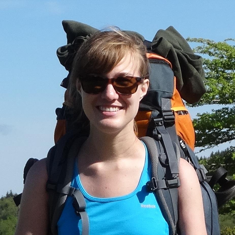 BoxTurtleTrot's profile picture. 