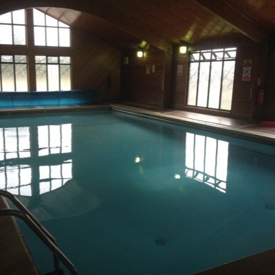 swimmingcogges1's profile picture. 