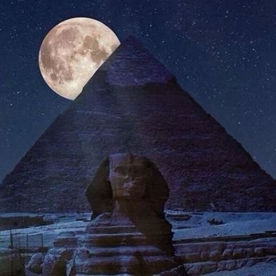 b4c30ad85d40431's profile picture. 