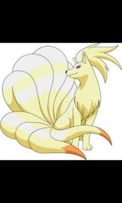 Tales_of_Flames's profile picture. I'm a well traveled ninetales, honing my skills of fire, and sharpening my wisdom. I can live 1,000 years through the power in my tales. #single #RP #wild