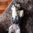 Martin Coyle - @CoyleMartin - Twitter