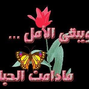حسن  ابو الدهب