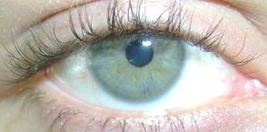 grafael25's profile picture. me gusta el basquet novio de iris mercedes y la amo!!!