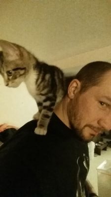Pacific Northwest born, Alaska raised chef in search of knowledge, positivity, inspiration. Attempting to leave everything better than I found it :-)