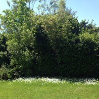 Erika Dahl Bravo (@erikadahlbravo) 's Twitter Profile