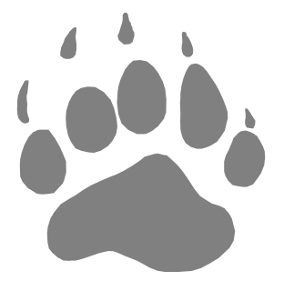 Collegiate Photo Service Company