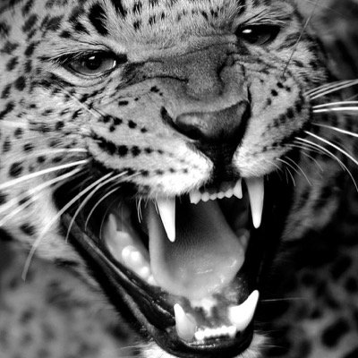 imbosu1's profile picture. 