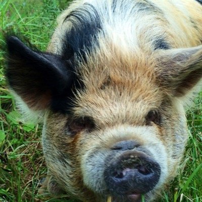 MissyMoodie's profile picture. 