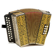 WellingtonIrish's profile picture. 