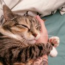 bautista benjamin - @bautistahoppel - Twitter