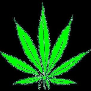 Plain and simple, i love Mary Jane| Email me at weedpics101@gmail.com