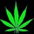 WeedPics101's profile image