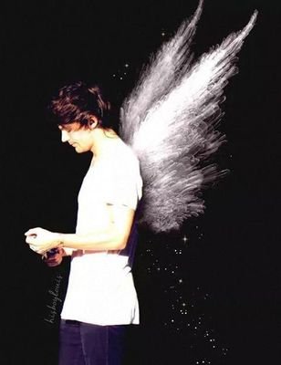 I'm a Directioner. I have a messy room. I spend most of my time online. I have private things on my phone. I go to bed late and I'm crazy about five people. ♥♥♬