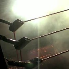 thewrestlefeed's profile picture. #WWE #TNA #DestinationIMPACT #ROHWrestling #RAW #WWENXT Bringing you coverage and news! Run by @musicninjamat