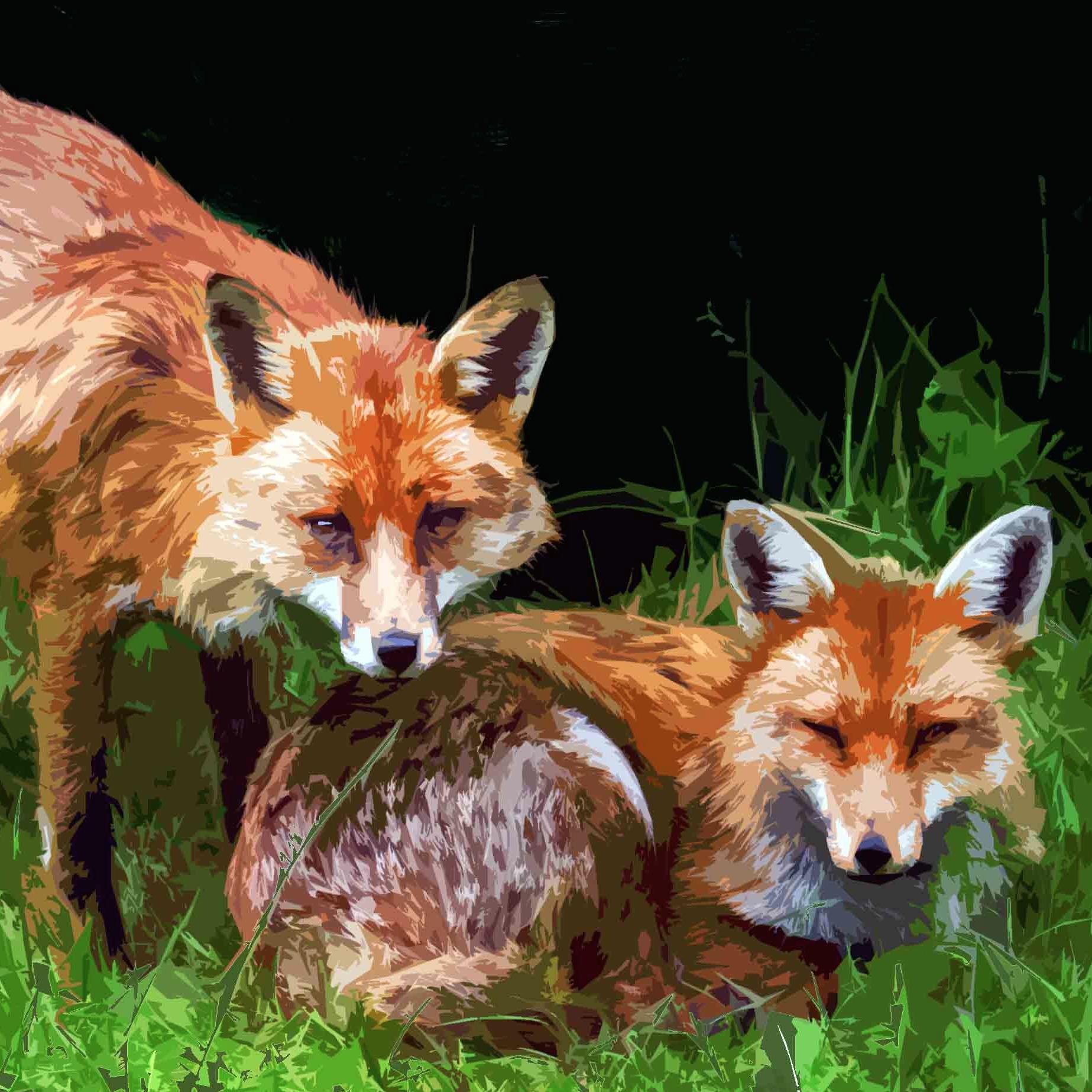 The Supernatural Fox Sisters love all things supernatural and spooky.
