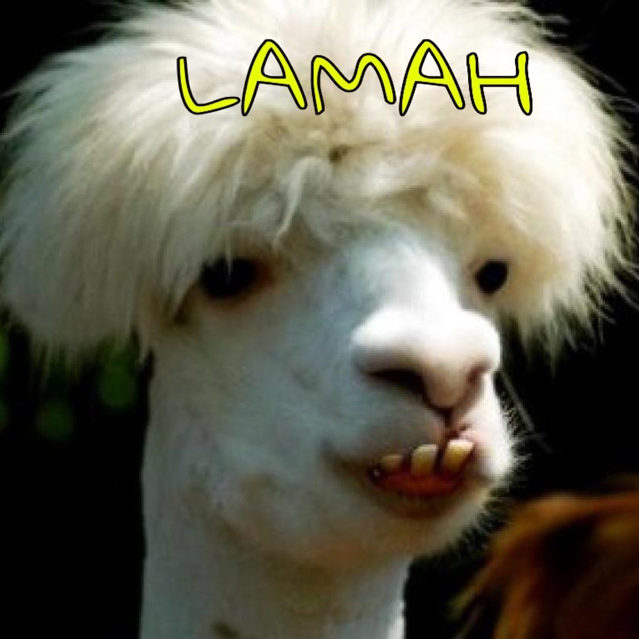 (Ps3: ImLamah) (Xbox360 OhhVizion)