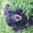 Catherine Constant - @CatherineConst6 - Twitter