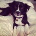 Finn Bounds (@finnbounds) Twitter profile photo