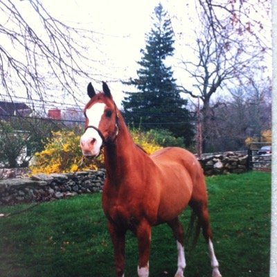 MorganBozarth's profile picture. 