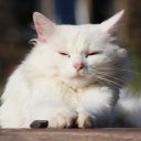 Kelvin Steele - @Kelvin__Steele - Twitter