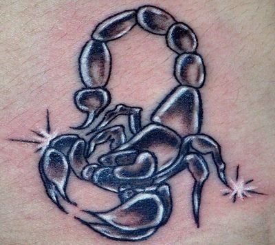 TuitMauro's profile picture. 